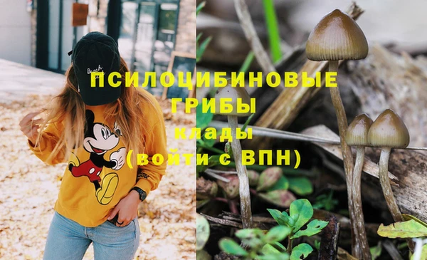 трава Мегион
