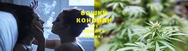 ПСИЛОЦИБИНОВЫЕ ГРИБЫ Медногорск