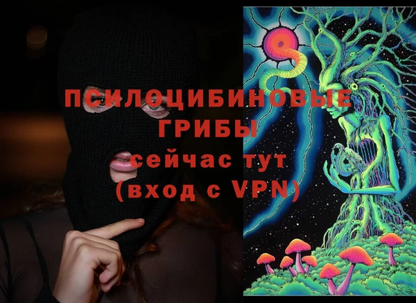трава Мегион